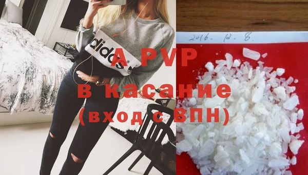 индика Зеленокумск