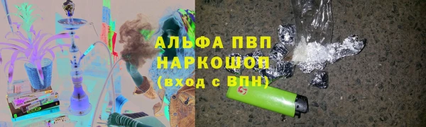 индика Зеленокумск