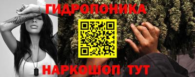 apvp Гусев