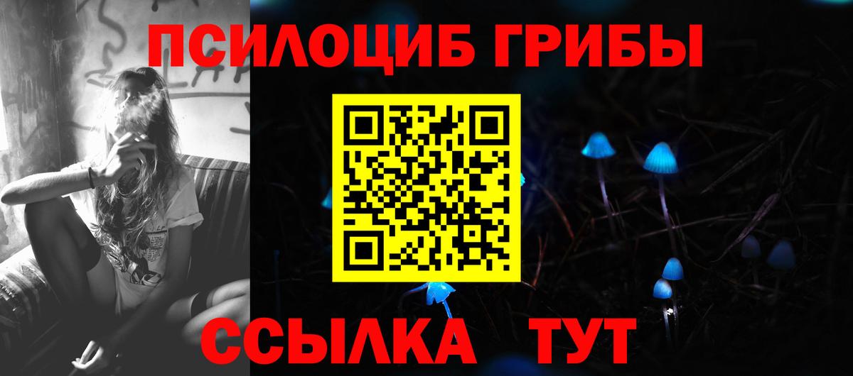 Псилоцибиновые грибы Psilocybine cubensis  Вход с VPN  Галлюциногенные грибы GOLDEN TEACHER  наркошоп  Ирбит 